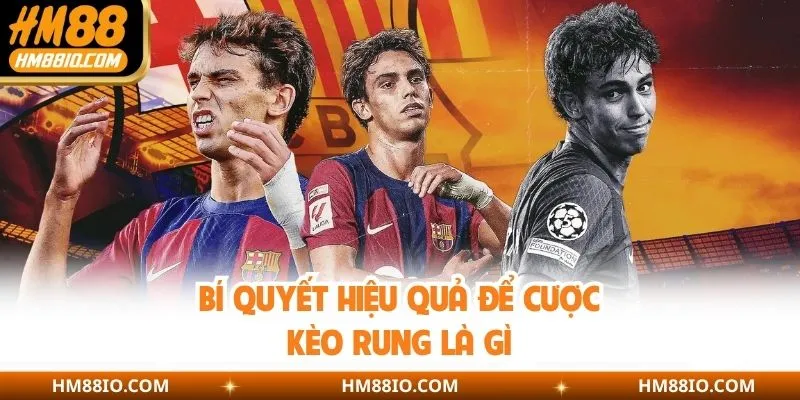 Bí quyết hiệu quả để cược kèo rung là gì