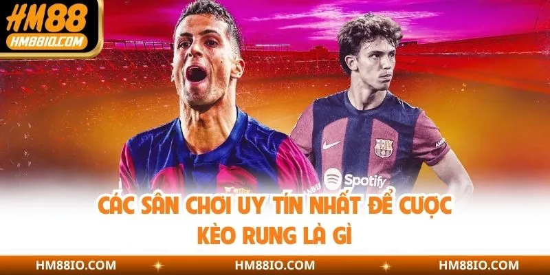 Các sân chơi uy tín nhất để cược kèo rung là gì