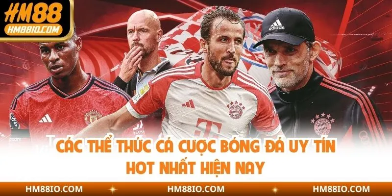 Các thể thức cá cược bóng đá uy tín hot nhất hiện nay