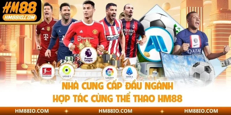 Nhà cung cấp đầu ngành hợp tác cùng thể thao HM88