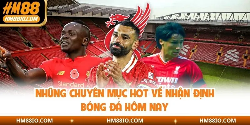 Những chuyên mục hot về nhận định bóng đá hôm nay